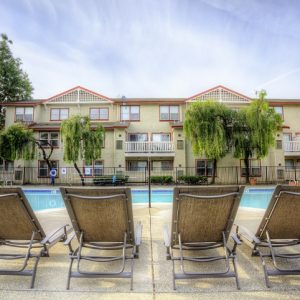 Community Pool lounge chairs