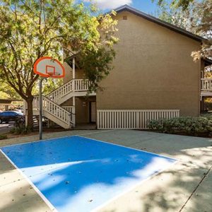 Community Basketball court