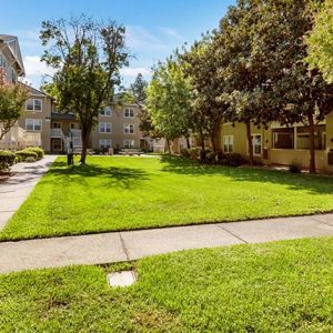 Community landscape and apartment buildings