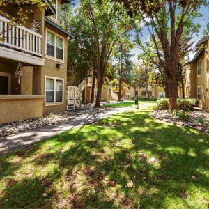 Community landscape and apartment buildings